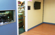 renovation