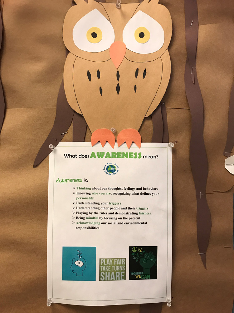 Awaresness-Owl Awaresness Owl
