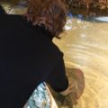 Sting Ray