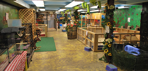 Art Farm