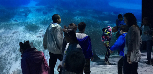 Ocean Odyssey